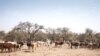 Un agriculteur marche parmi son troupeau de bétail sur la route entre Adre et Farchana, dans la région de Ouaddaï, au Tchad, le 25 mars 2019.