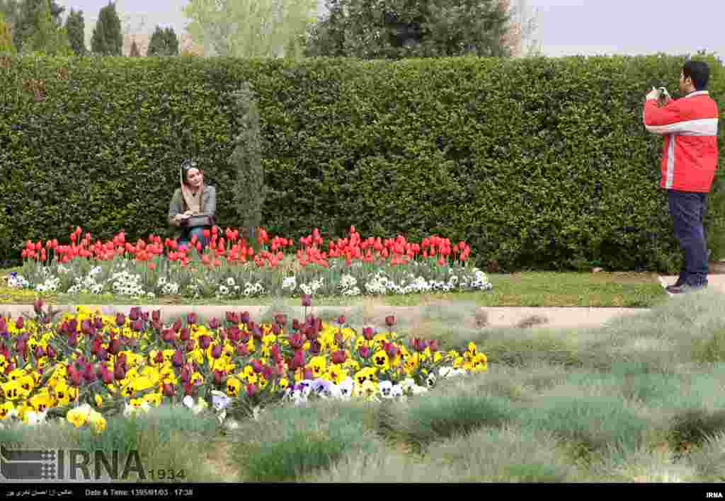 این روزها باغ گیاه شناسی ملی ایران که زیر نظر موسسه تحقیقات جنگلها و مراتع ایران است، میهمانان نوروزی را میزبانی می کند. عکس: احسان نادری پور، ایرنا