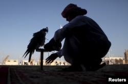 FILE - A Qatari man prepares his falcon to participate in a contest during Qatar International Falcons and Hunting Festival at Sealine desert, Qatar, Jan. 29, 2016. A group of Qatari falconers was kidnapped by armed men in December 2015 during a hunting trip in the Muthanna governorate of southern Iraq, a famed desert spot for falcon hunters.