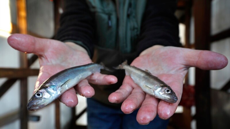 Late Arriving Cold Cuts Ice Fishing Time in the US