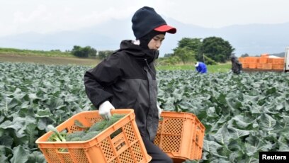 Thực tập sinh Việt Nam tại Nhật họp báo, tố cáo bị làm thêm bất hợp pháp và quịt lương Thực tập sinh Việt Nam tại Nhật họp báo, tố cáo bị làm thêm bất hợp pháp và quịt lương