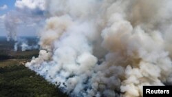Asap membubung akibat pembakaran pepohonan di hutan hujan Amazon, dekat jalan raya nasional Transamazonica, di Humaita, negara bagian Amazonas, Brasil, 8 September 2021. (REUTERS/Bruno Kelly)