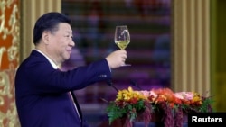 China's President Xi Jinping delivers a toast at a state dinner at the Great Hall of the People in Beijing, Nov. 9, 2017.