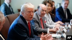 President Donald Trump speaks during a cabinet meeting in the Cabinet Room of the White House, July 31, 2017, in Washington. 