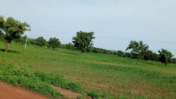 dou-terrain geleya Burkina Faso
