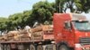 Exploração ilegal de madeira preocupa autoridades de Malanje 