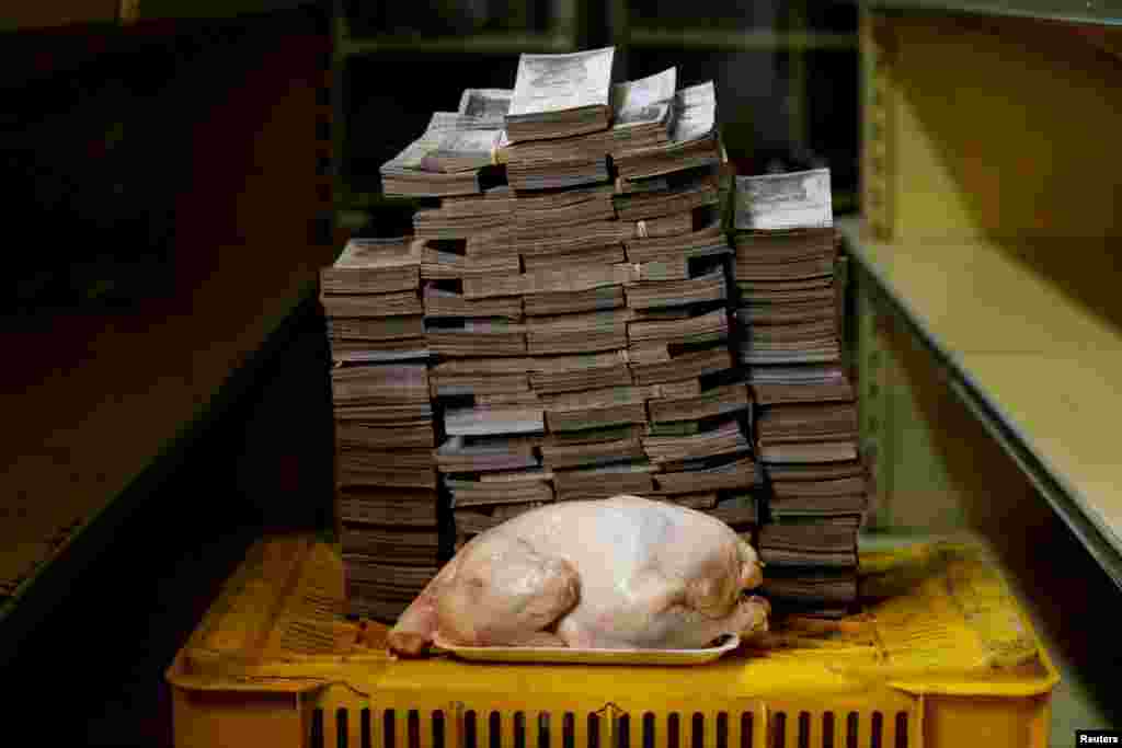 A 2.4 kg chicken is pictured next to 14,600,000 bolivars, its price and the equivalent of $2.22, at a mini-market in Caracas, Venezuela August 16, 2018.