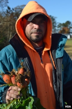 A worker at Garner's Produce displays fresh-picked beets. (N. Papadogiannakis/VOA)