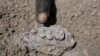 Ethiopian Fossils Represent New Member of Human Family Tree