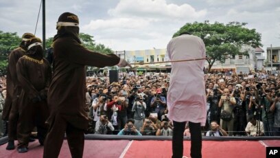 gay gypsy caned Gay gypsy caned