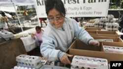 **FILE** In this May 14, 2008 file photo, Wang Mo stacks cartons of eggs for sale at the Knoll Krest Farm stand in the Union Square green market in New York. Food inflation is here to stay, or at least for a while. That's because retail prices for cereal,