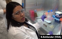 Chemical engineer Anushree Chatterjee shows one of the Petri dishes holding dangerous superbugs.