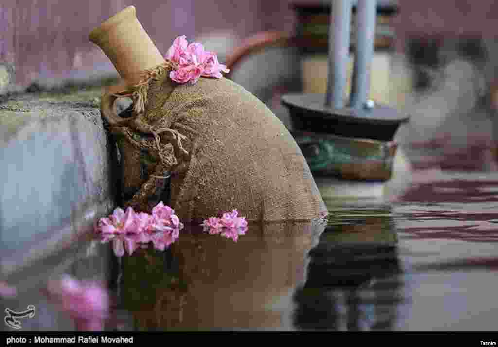 فصل گلاب گیری در کاشان عکس: محمد رفیعی موحد