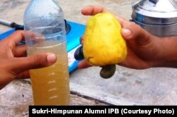 Sirup buah jambu monyet produksi korban gempa di Desa Salut, Lombok Utara. Courtesy: Sukri Himpunan Alumni-IPB