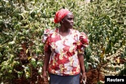 Coffee farmer Mary Wanja stands in her coffee plantation in Kirinyaga near Nyeri, Kenya, March 14, 2018.