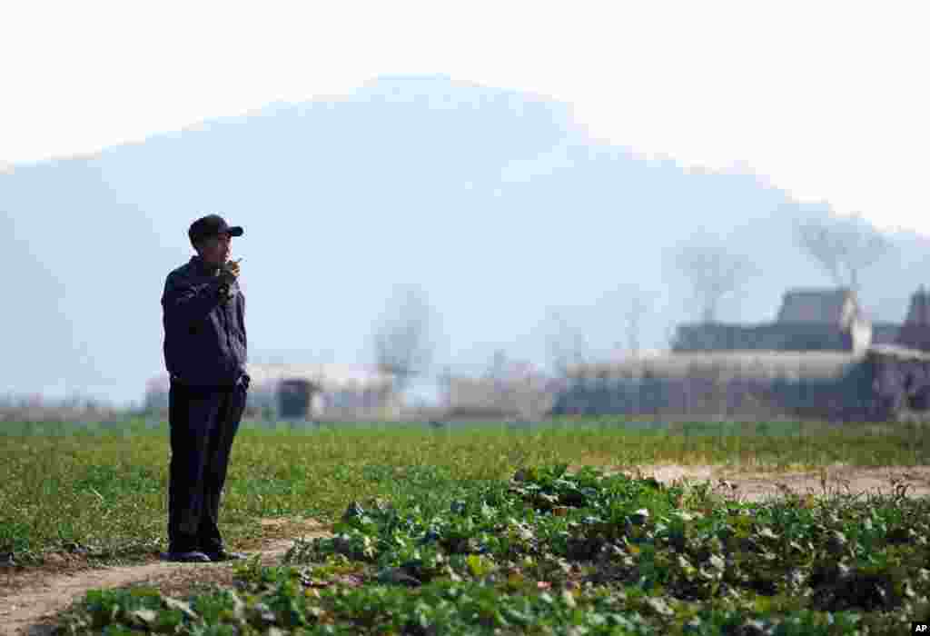 A farmer at his vegetable field near the Yangtze River in Wuhu, China, February 3, 2012. Officials traveling with Xi announced plans to purchase $4.3 billion worth of U.S. soybeans. (Reuters)