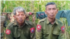 ဖမ်းဆီးခံ မြန်မာစစ်သား ၂ ယောက် AA ပြန်လွှတ်
