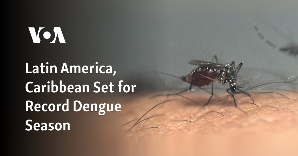 Latin America, Caribbean Set for Record Dengue Season