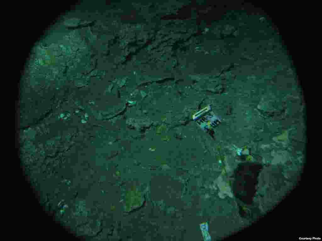 View from inside Alvin of carbonate pavement and boulders in an area of methane seepage from Hydrate Ridge, Oregon, 700 meters deep. (V. Orphan) 