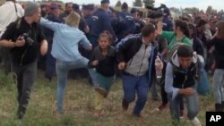 Petra Laszlo udara nogom dete iz izbjegličke kolone, septembar 2015. 