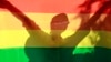 资料照：同性恋团体支持者举着LGBT旗帜参加权益活动。