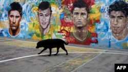Une peinture murale aux visages des joueurs de football, de gauche à droite, Lionel Messi d'Argentine, Neymar du Brésil, Cristiano Ronaldo du Portugal et Luis Suarez de l'Uruguay dans la favela Tavares
