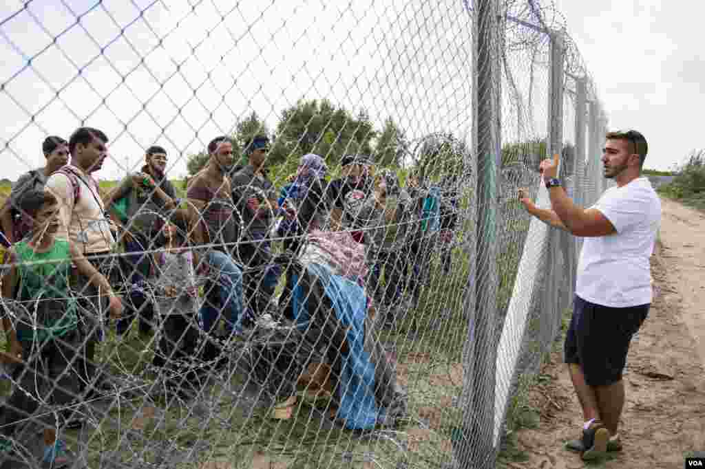Desperate for answers, migrants on the Serbian side of the fence ask VOA&#39;s local Arabic language translator on the Hungarian side, where to go and what to do, Sept. 15, 2015. (Ayesha Tanzeem/VOA)