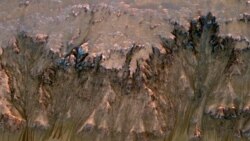 An image combining orbital imagery with 3-D modeling shows flows that appear in spring and summer on a slope inside Newton crater on Mars