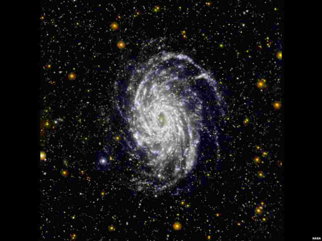 Gambar dari wahana penjelajah antariksa NASA &#39;Galaxy Evolution Explorer&#39; yang menunjukkan NGC 6744, salah satu galaksi di alam semesta yang paling mirip dengan galaksi Bima Sakti kita. Galaksi NGC 6744 terletak pada jarak sekitar 30 juta tahun cahaya dari Bimasakti.