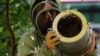 Warga New York Semakin Banyak yang Beternak Lebah 