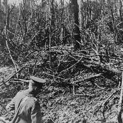 Damage caused by shells that struck Belleau Woods, France