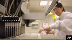 Researcher loads patient samples into a machine at Myriad Genetics, Salt Lake City, undated file image.