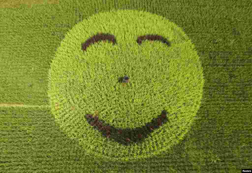A picture of smiling face made of rice plants is seen in a paddy field in Xianju county, Zhejiang province, China.