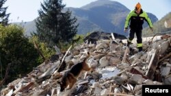 Un pompier et son chien de sauvetage après un tremblement de terre à Borgo Sant'Antonio près de Visso, au centre de l'Italie, le 27 octobre 2016.