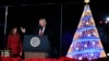 Трамп зажег огни на главой рождественской елке страны