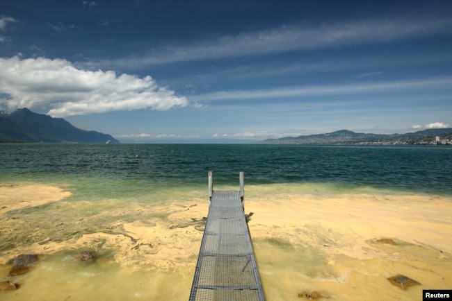 FILE - An accumulation of pollen is pictured on Lake Leman in Villeneuve, Switzerland May 10, 2020. (REUTERS/Denis Balibouse)