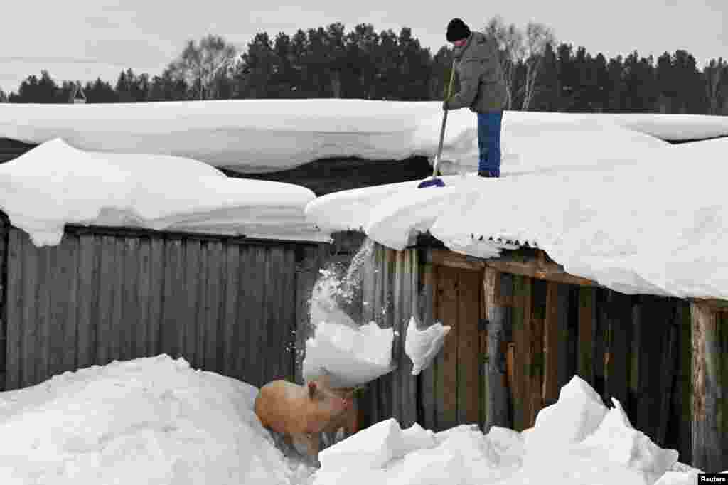 A local person stands on top of a wooden building while removing snow in a courtyard in the village of Bobrovka in Omsk Region, Russia.