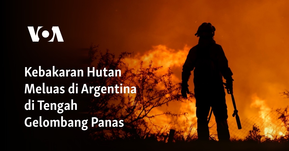 Kebakaran Hutan Meluas Di Argentina Di Tengah Gelombang Panas