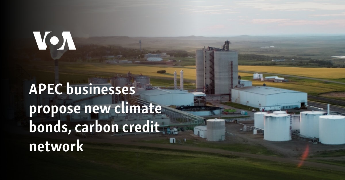 APEC businesses propose new climate bonds, carbon credit network