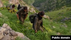 Şervanên PKKê