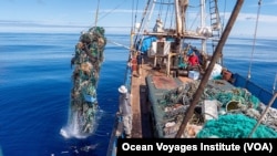 Ocean Voyages Institute in Sausalito, California works to clean up trash in the ocean. Here, tons of garbage – much of it plastic -- from the Great Pacific Garbage Patch is being lifted onto a cargo sailing ship. (Courtesy of Ocean Voyages Institute)