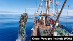 Lembaga "Ocean Voyages" di Sausalito, California membersihkan sampah-sampah plastik di Samudera Pasifik untuk didaur ulang (foto: ilustrasi). 