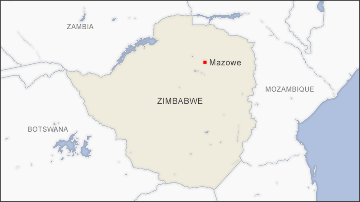 Zimbabwe’s Pregnant Forced to Use Midwives, Deliver in Unsafe Conditions