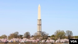 The Washington Monument shown with partial scaffolding around its base while repairs are being done as a result of an August, 23, 2011 earthquake in the region, Washington, DC, April 9, 2013. (Brian Allen/VOA)