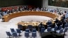 L'Afrique du Sud obtient le report d'une réunion du Conseil de sécurité sur la RDC