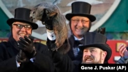 Groundhog Club co-handler Al Dereume holds Punxsutawney Phil, the weather prognosticating groundhog, during the 132nd celebration of Groundhog Day on Gobbler's Knob in Punxsutawney, Pa. Friday, Feb. 2, 2018. (Gene Puskar/AP)