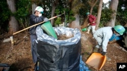 FILE - Workers clean radioactive soils and plants at a private house's garden in Minamisoma, Fukushima prefecture, northeastern Japan, Feb. 24, 2016. 