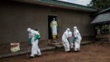 Le virus de Marburg est une fièvre hémorragique presque aussi mortelle qu'Ebola.