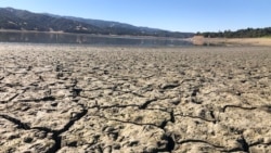 A dry bed is seen at Lake Mendocino near Ukiah, Calif., Wednesday, Aug. 4, 2021. The town of Mendocino gets some of their water from this water supply, but most of the lake water goes to Sonoma County. (AP Photo/Haven Daley)