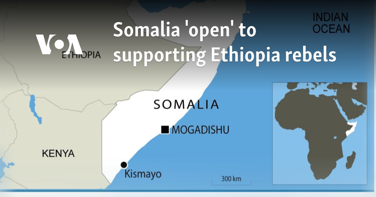 Somalia 'open' to supporting Ethiopia rebels